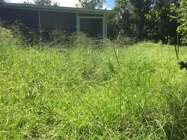 Lawn care service started by vendor 2 on GreenPal platform in Bakersfield CA