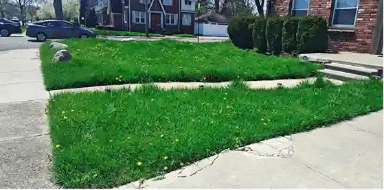 Lawn care service started by vendor 7 on GreenPal platform in Bakersfield CA