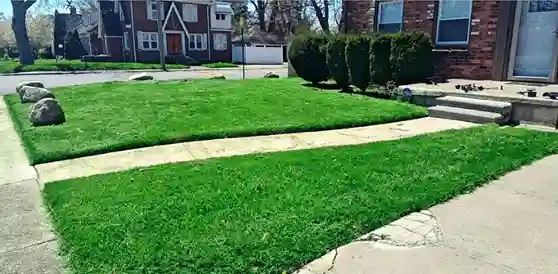 Yard maintenance completed by vendor 7 through GreenPal platform in Bakersfield CA