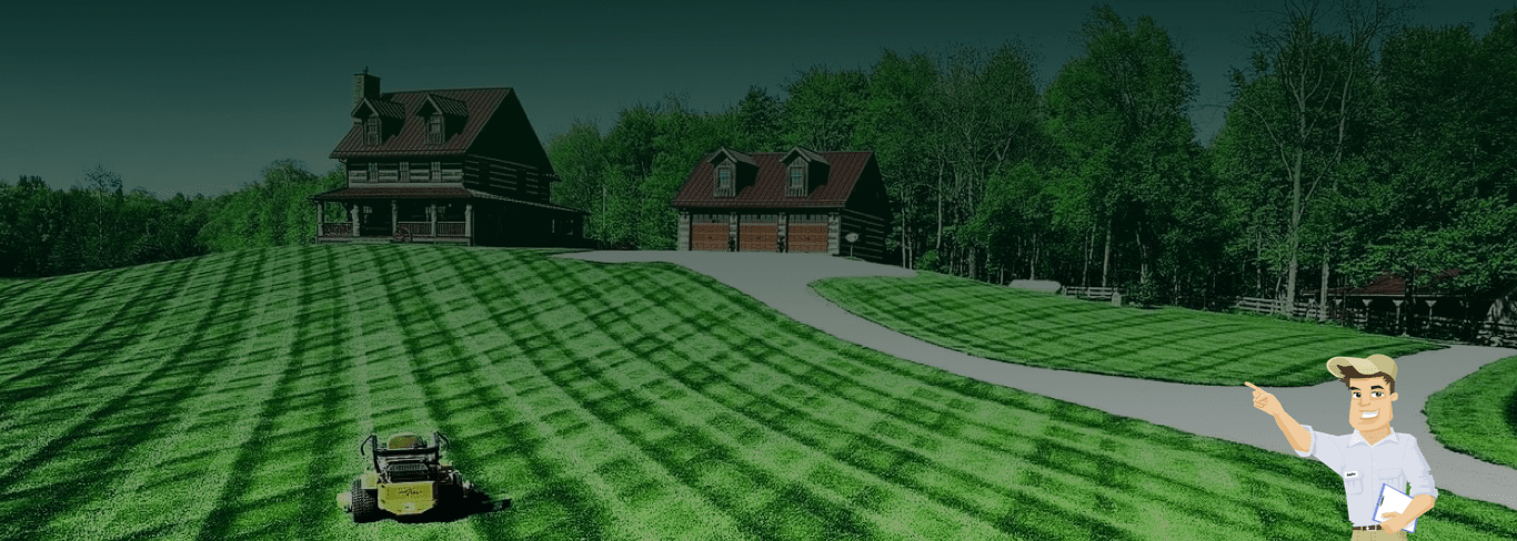 Professional lawn mowing and local yard care services in San Jose, CA