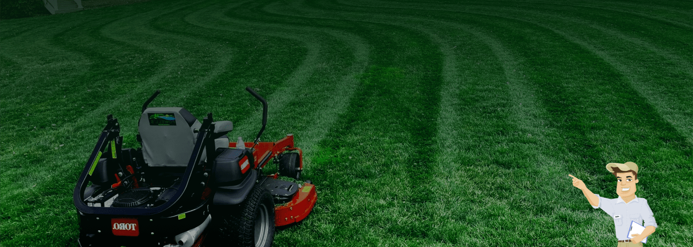 Professional lawn mowing and local yard care services in Carlsbad, CA