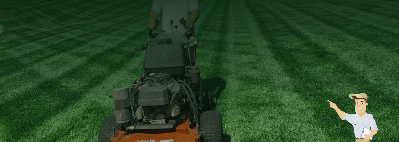 Professional lawn mowing and local yard care services in San Leandro, CA