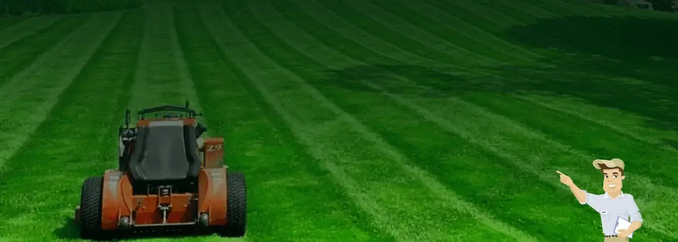 Professional lawn mowing and local yard care services in Sunnyvale, CA